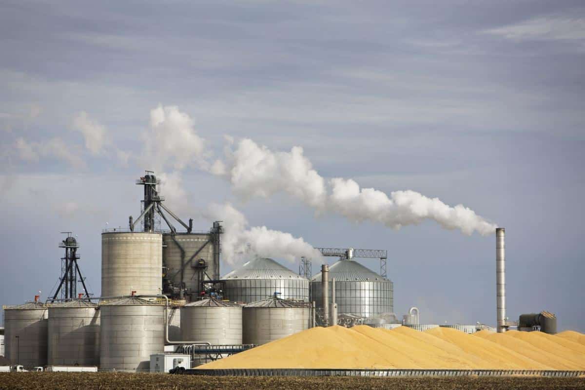 Agroindústria ganha força na região oeste de Mato Grosso