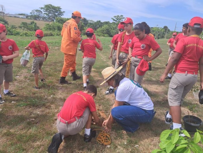 Alta Floresta: Projeto Bombeiros do Futuro realiza plantio de mudas