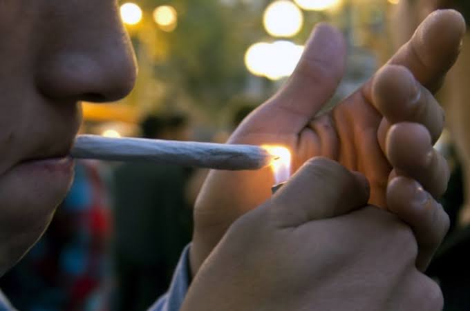 Alunos são pegos com maconha em escola de Primavera do Leste