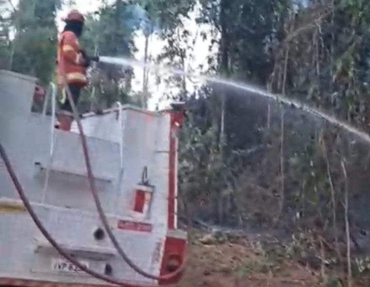 Bombeiros combatem incêndio em vegetação na zona rural de Sinop