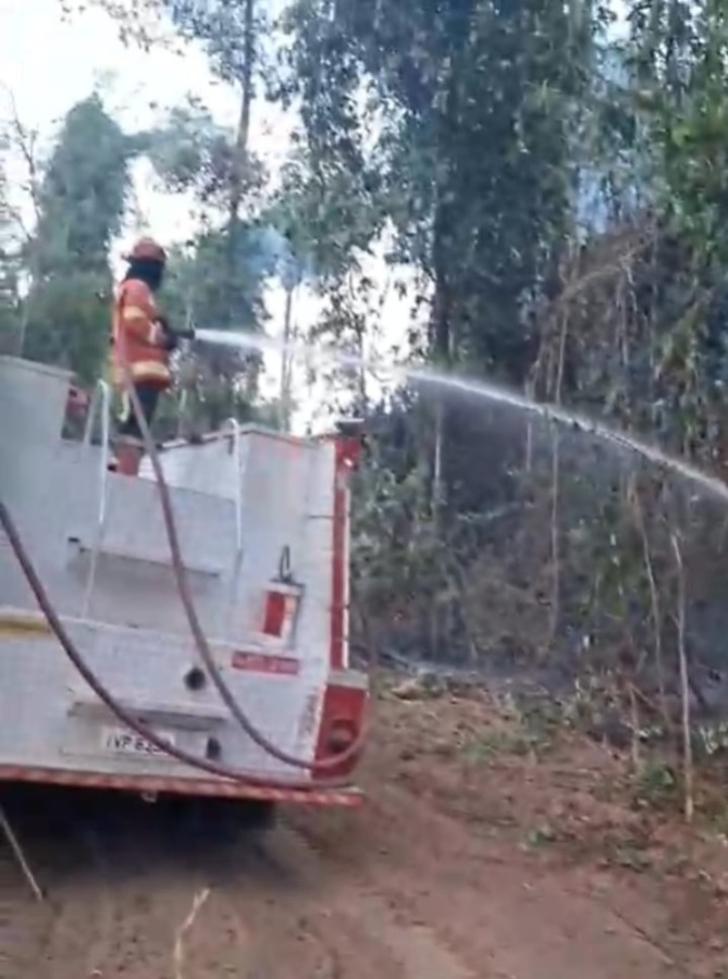 Bombeiros combatem incêndio em vegetação na zona rural de Sinop MT
