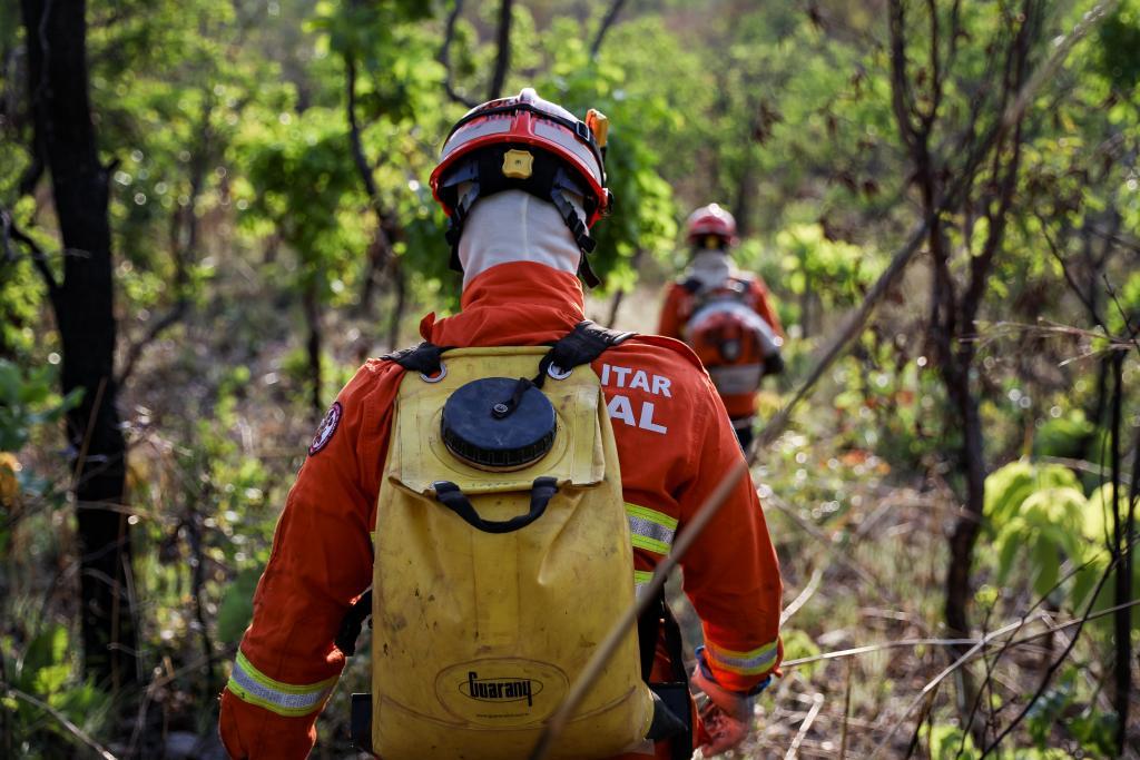 Bombeiros combatem nove incêndios florestais no estado de MT