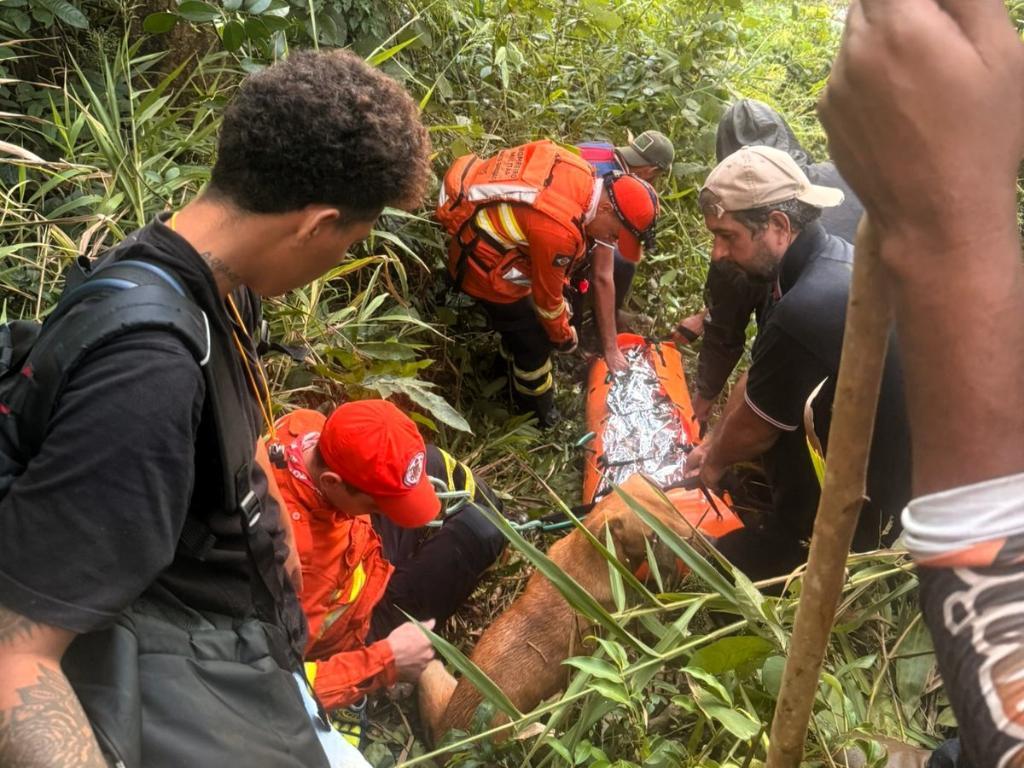 Bombeiros resgatam mulher viva em mata de MT