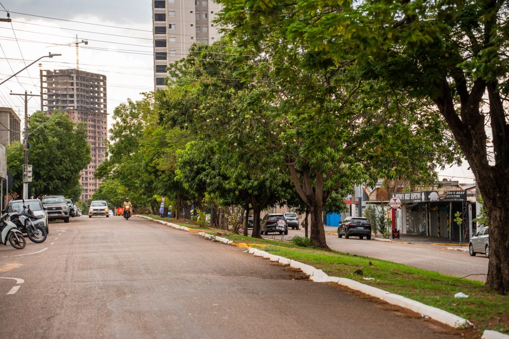 Calor extremo em Rondonópolis: arborização urbana reduz até 8°C