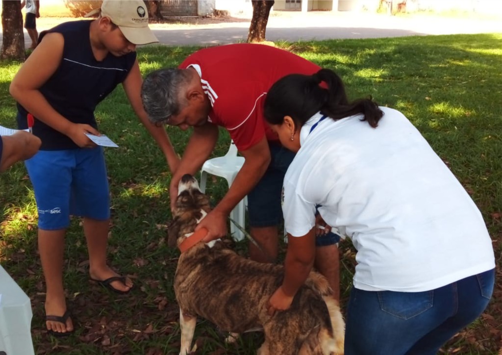 Campanha de vacinação antirrábica protege cães e gatos em Alta Floresta