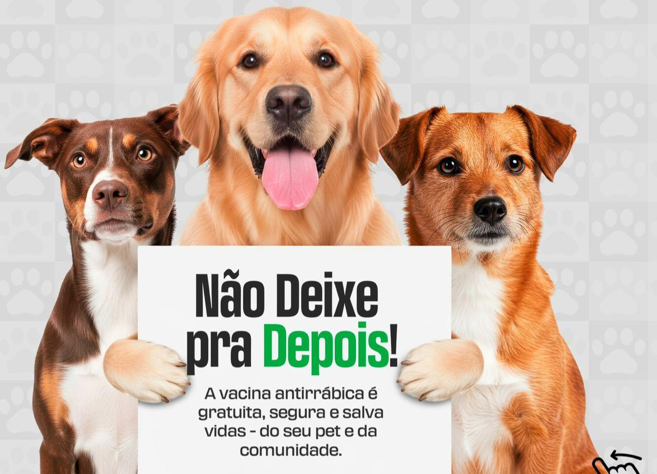 Campanha de vacinação antirrábica protege cães e gatos em Primavera do Leste