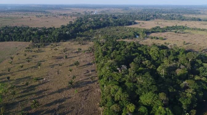 Candidatos ao governo de Mato Grosso debatem propostas para o passivo ambiental