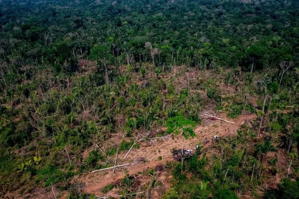 Consema cancela R$ 21 milhões em multas ambientais em Mato Grosso