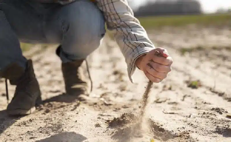 Correção de solo impulsiona produtividade agrícola em Mato Grosso