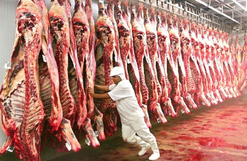 Exportações de carne de MT disparam 74% em 2026