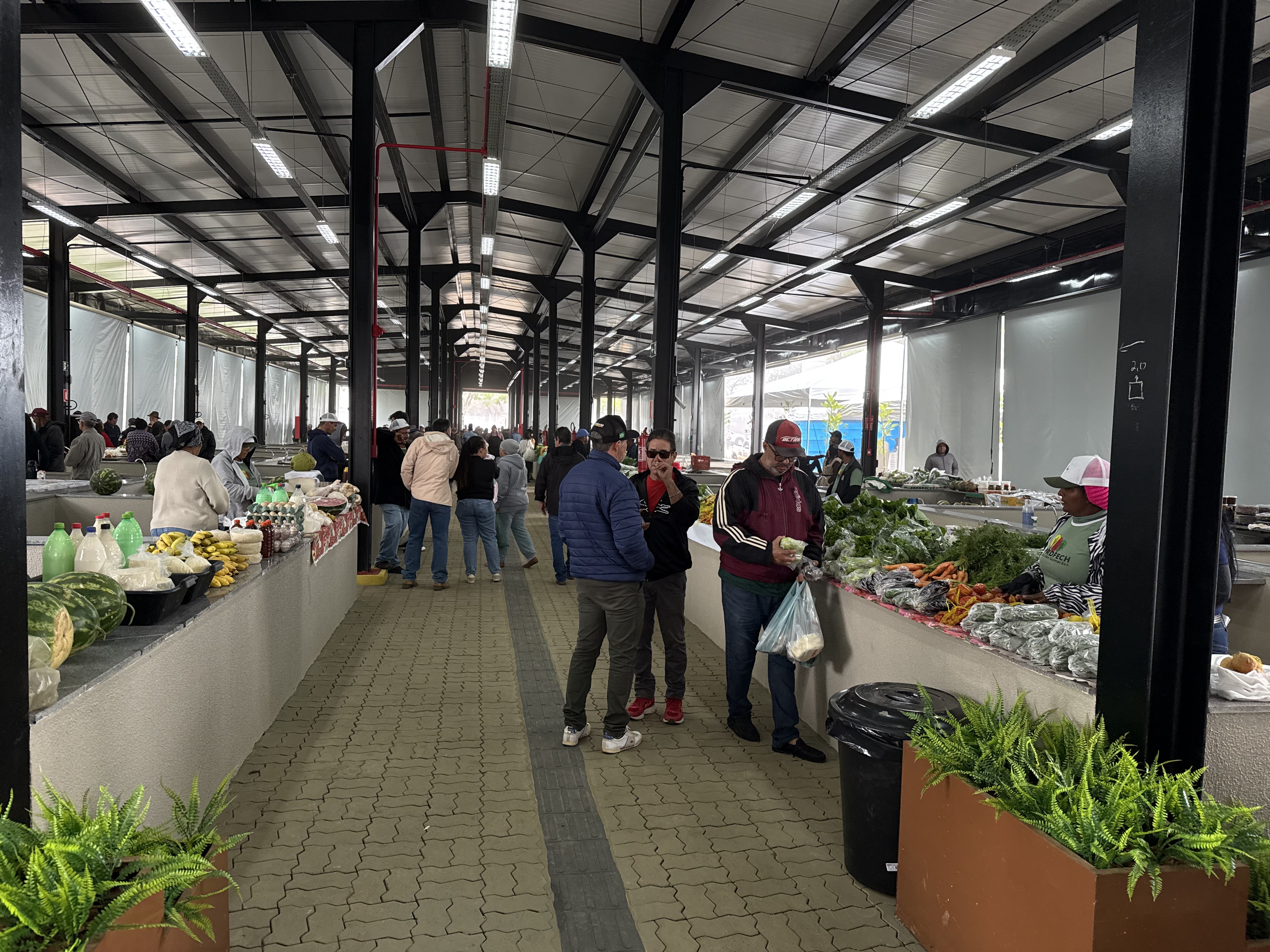 Feira revitalizada impulsiona agricultura familiar em Chapada dos Guimarães