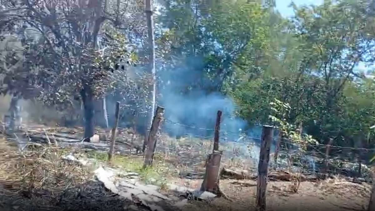 Fogo em ninho de insetos gera incêndio em Cuiabá