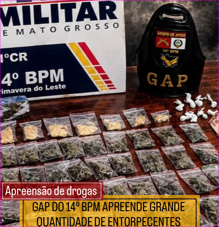 GAP apreende drogas e dinheiro durante ação em Primavera