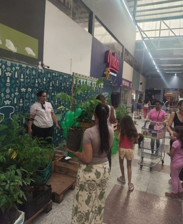 Grupo Juba distribui 4 mil mudas frutíferas em Cáceres