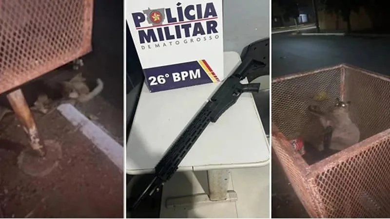 Homem é preso após ferir gatos com tiros de airsoft em Nova Mutum