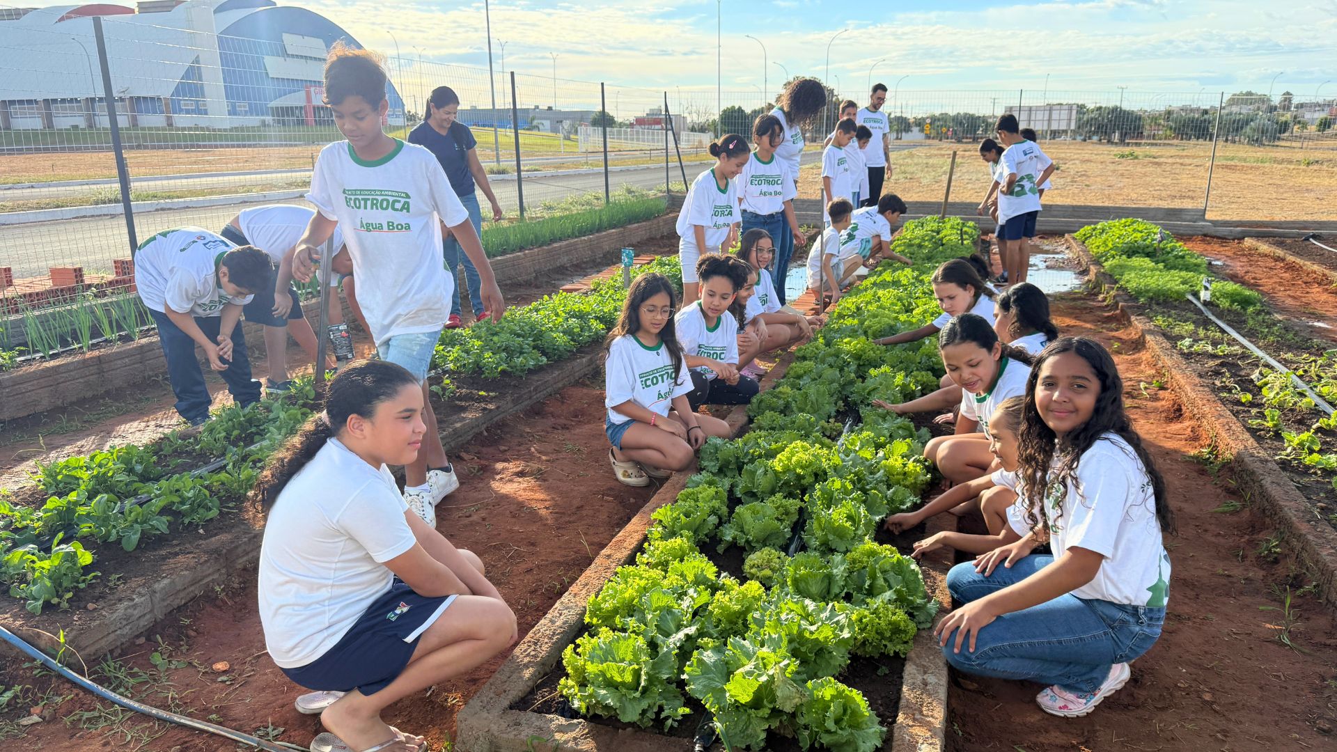 Horta escolar expande ensino de sustentabilidade em Água Boa