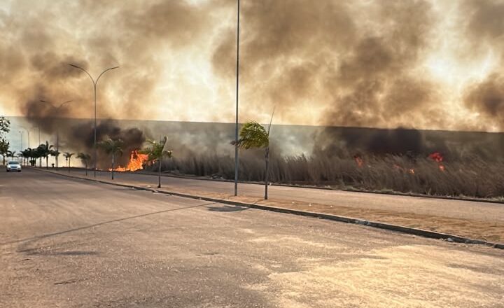 Incêndio destrói área equivalente a 35 campos de futebol em Primavera do Leste