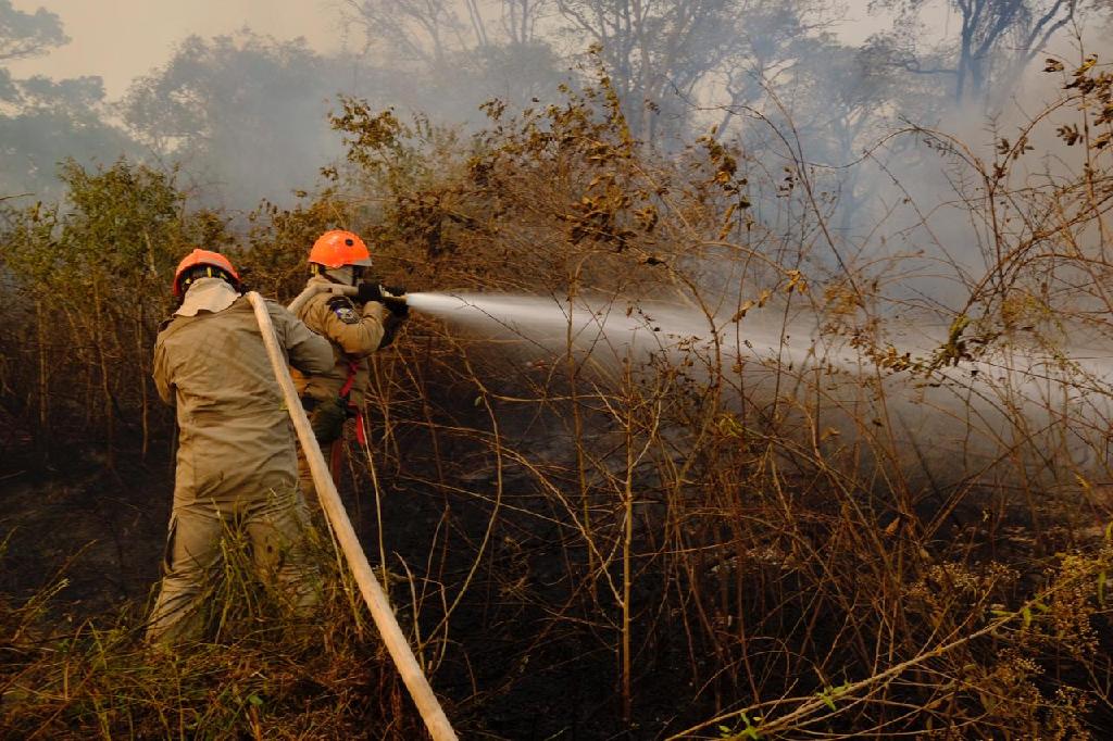 Incêndio em vegetação ameaça casas no Residencial das Mangueiras em Alta Floresta