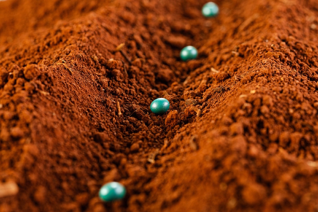 Manejo de nematoides na soja avança em Mato Grosso
