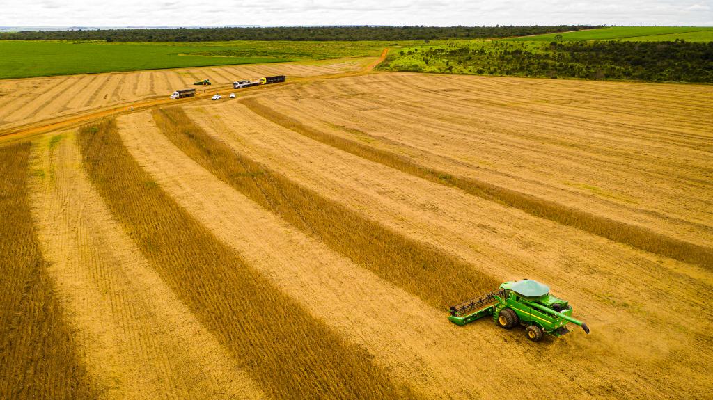 Mato Grosso bate recorde histórico na soja e mantém liderança nacional pela 26ª safra seguida