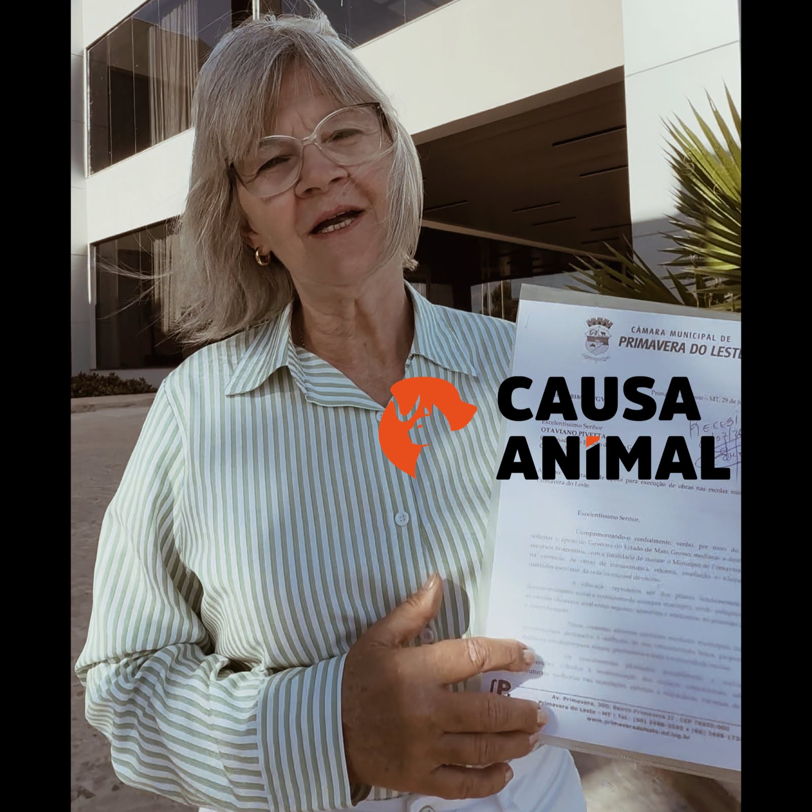 Novas leis reforçam proteção animal e transparência em Primavera do Leste