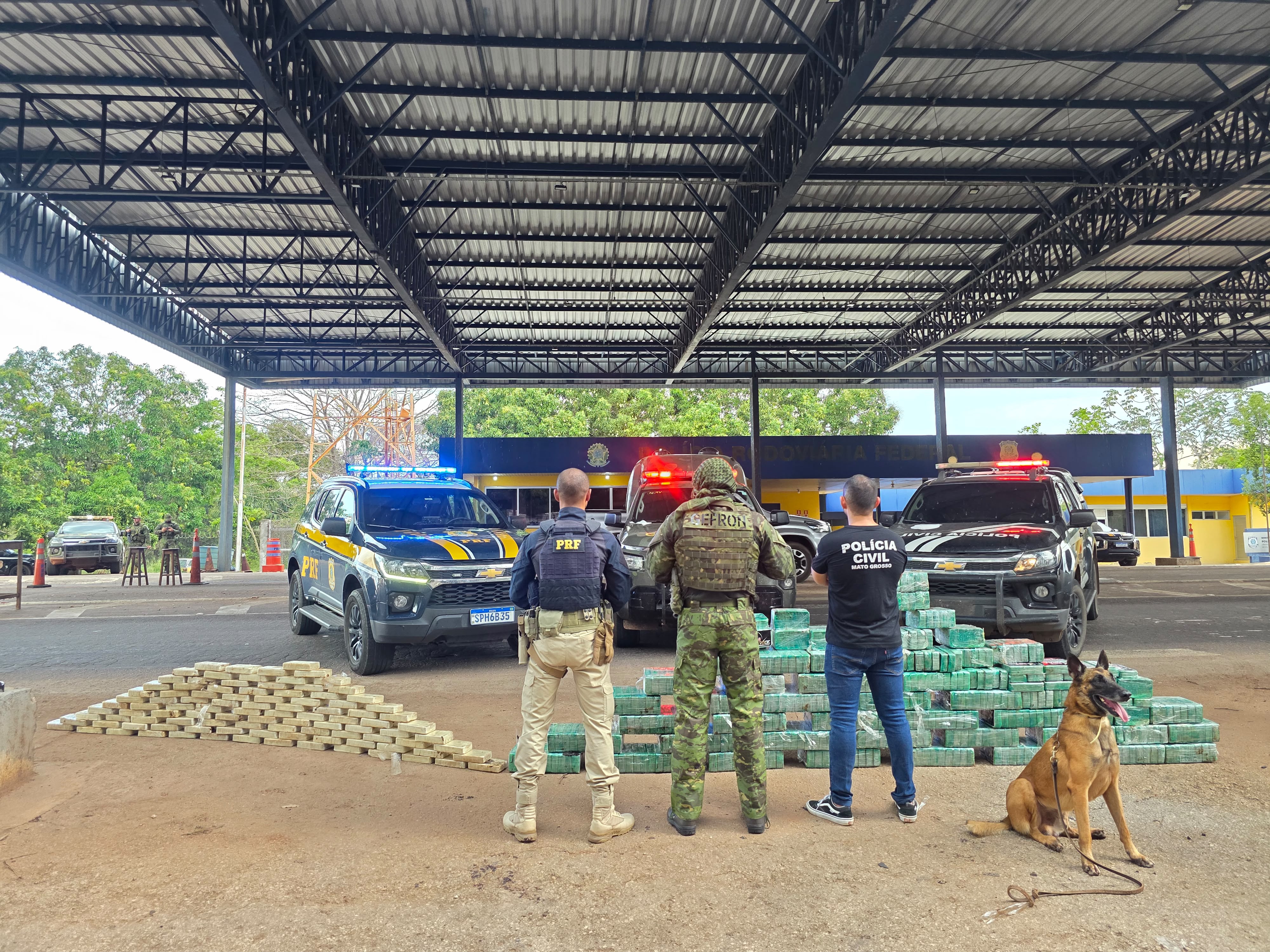 Operação em Jangada MT apreende 550 kg de cocaína e causa prejuízo milionário
