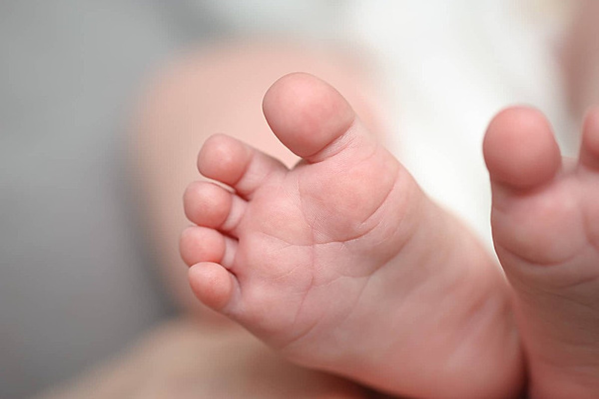 Polícia Civil investiga mortes de bebês em hospital de São Paulo
