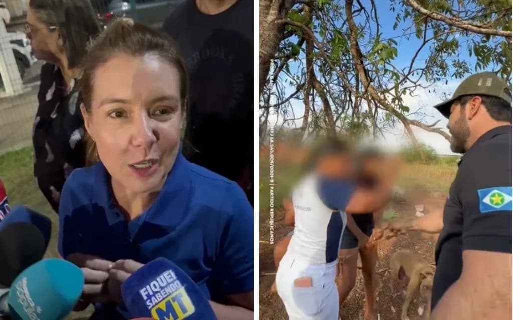 Prefeita critica vereador após ação com cães e detenção em MT
