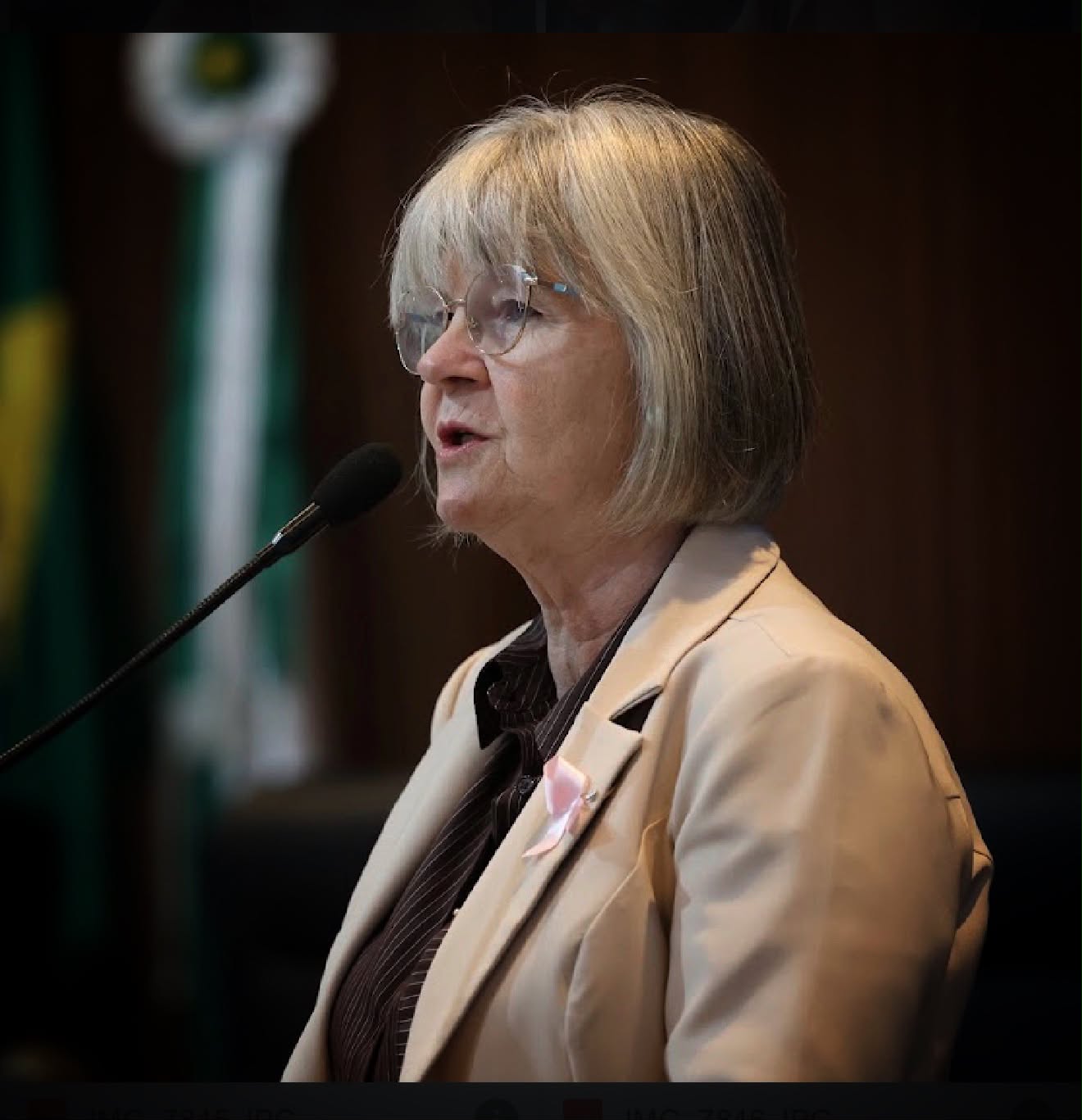Primavera do Leste: Maria Garzella alerta sobre economia e impostos