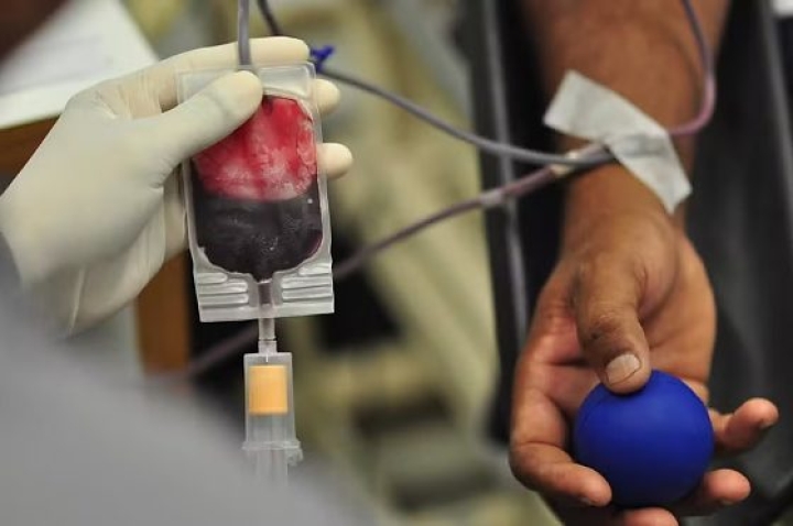 Testemunhas de Jeová mudam regra sobre derivados de sangue em MT