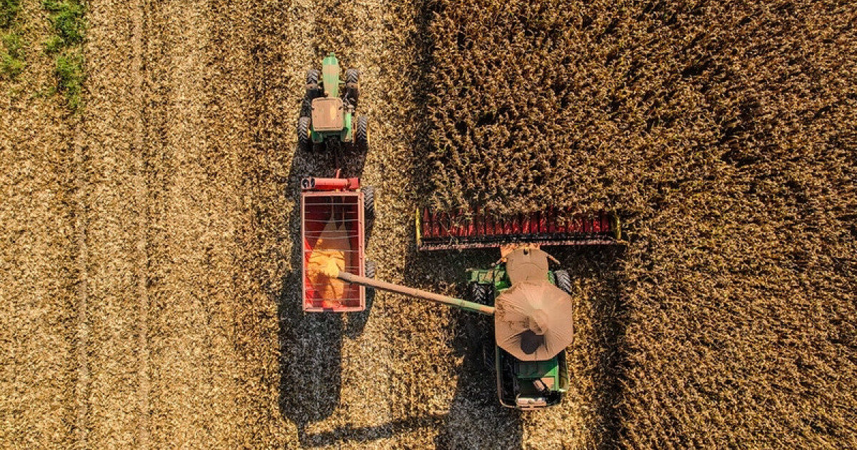 UPF/MT sobe em novembro, mas agro em MT mantém taxa antiga