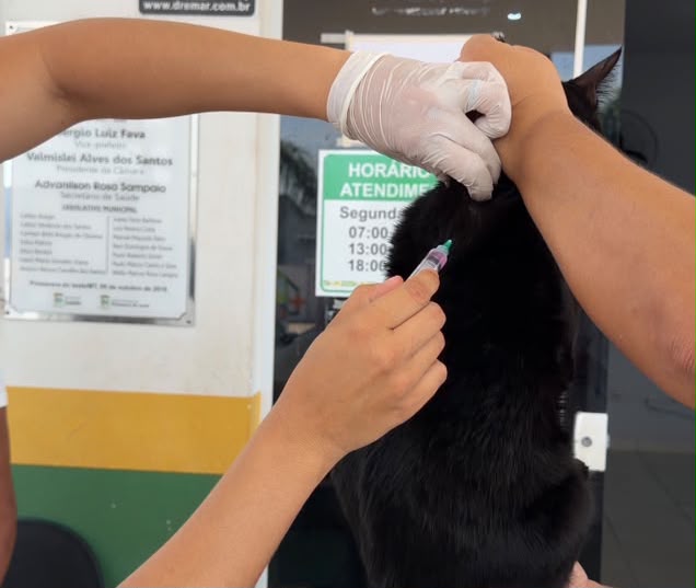 Vacinação antirrábica para pets ocorre neste sábado em Primavera do Leste
