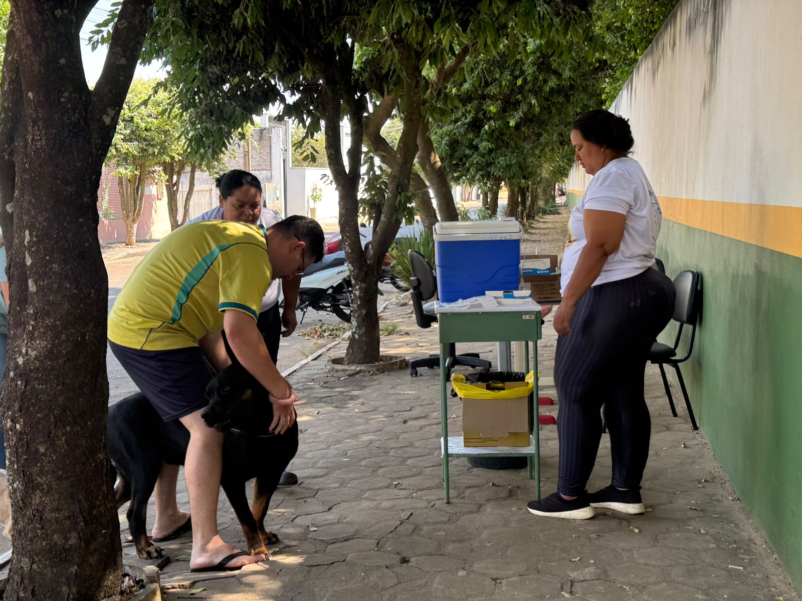 Vacinação antirrábica protege cães e gatos em Primavera do Leste